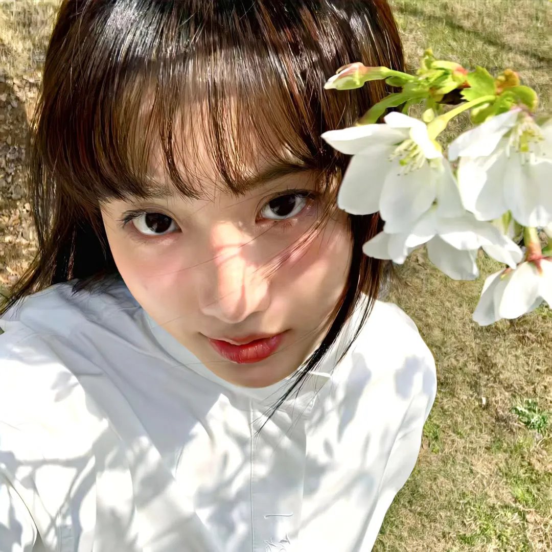 淑女绅士